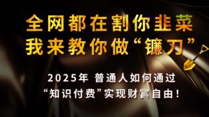 全网都在割你韭菜,我来教你做镰刀,2025普通人如何通过知识付费,实现财F自由【揭秘】-第一资源库