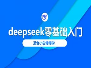 deepseek零基础入门-deepseek教程2025,适合小白慢慢学-第一资源库