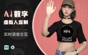 Ai数字人虚拟(智能体)实时语音交互特训营,自行定制超写实角色AI数字人交互技术-第一资源库