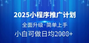 2025小程序推广计划,全面升级,简单上手,日均多张【揭秘】-第一资源库