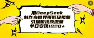 用DeepSeek制作鸟世界摄影级视频,引爆短视频流量,单日变现1k-第一资源库