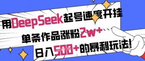 用DeepSeek起号速度开挂,单条作品涨粉2w+,日入5张+的暴利玩法-第一资源库