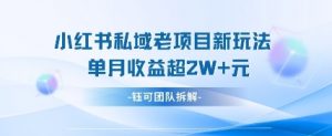 小红书私域项目新玩法,单月变现过W+-第一资源库