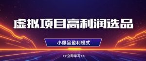 虚拟项目高利润选品方法，做好单店利润1W+，可多店倍增利润-第一资源库
