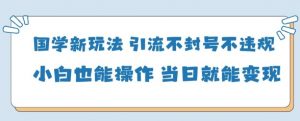 国学新玩法，引流不封号不违规小白也能操作，当日就能变现-第一资源库