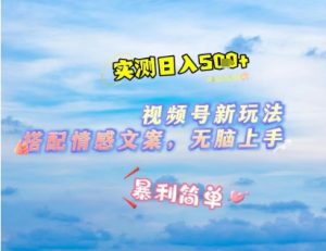 微信视频号最新玩法，表情包搭配情感文案，2分钟一条原创作品，简单好上手，轻松日入几张-第一资源库