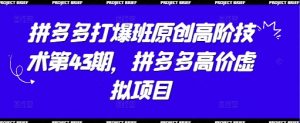 拼多多打爆班原创高阶技术第43期,拼多多高价虚拟项目-第一资源库