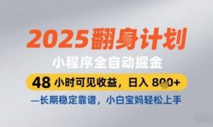 2025小程序全自动掘金，48 小时可见收益，日入8张，长期稳定靠谱，小白宝妈轻松上手【揭秘】-第一资源库