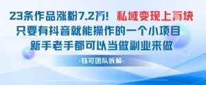 抖音私域项目23条作品涨粉7.2W，私域变现1W-第一资源库