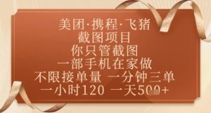 飞猪美团截图项目，你只管截图，一部手机在家做，正规平台无套路，一天5张+【揭秘】-第一资源库