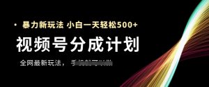 视频号分成计划，全网最暴力玩法，新手一天也能轻松5张+-第一资源库