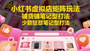 小红书虚拟店矩阵玩法,铺货铺笔记型打法,少款狂怼笔记型打法-第一资源库
