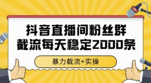 抖音直播间粉丝群暴力截流,一台电脑每天稳定2000条数据,暴力截流+实操 【揭秘】-第一资源库