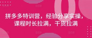 拼多多特训营,经验分享实操,课程时长拉满,干货拉满(更新25年4月)-第一资源库
