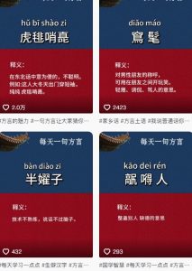 抖音最新涨粉玩法，图文方言暴力涨粉实操，126作品涨粉11W-第一资源库