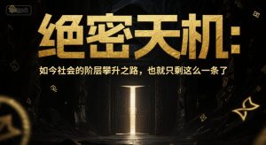 付费文章:绝密天机:如今社会的阶层攀升之路,也就只剩这么一条了-第一资源库