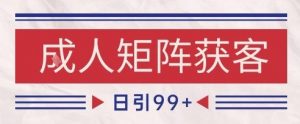 小红书某音橙人赛道引流获客，自热矩阵日引200+【揭秘】-第一资源库