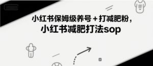 小红书保姆级养号+打减肥粉，小红书减肥打法sop-第一资源库
