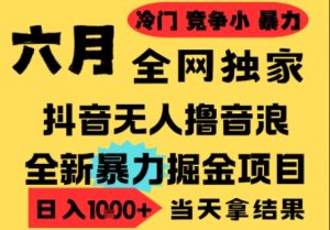 25年6月高爆抖音无人直播最新撸音浪掘金项目，小白可做，无脑日入1k+，门槛低可批量矩阵【揭秘】-第一资源库