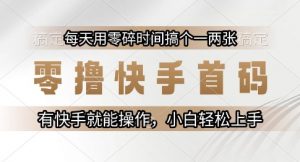零撸快手首码,每天用零碎时间搞个一两张,有快手就能操作小白轻松上手【揭秘】-第一资源库