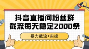 抖音直播间粉丝群暴力截流，一台电脑每天稳定2000条数据【揭秘】-第一资源库