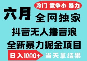 2025年6月高爆抖音无人直播最新撸音浪掘金项目,无脑日入1k+,低门槛小白可做,可矩阵放大【揭秘】-第一资源库