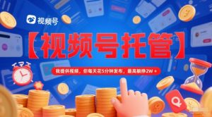 【视频号托管 】我提供视频,你每天花5分钟发布,最高躺挣2W+【揭秘】-第一资源库