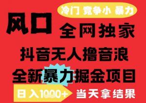 25年6月高爆抖音无人直播最新撸音浪掘金项目,解放双手小白可做,无脑日入1k+,门槛低【揭秘】-第一资源库