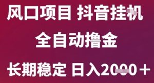 风口项目,六月最新玩法抖音无人挂G,全自动撸金,长期稳定 日入2k+【揭秘】-第一资源库