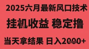 2025六月最新风口技术,无人挂G撸礼物,长期稳定 一个小时收益2k+,小白当天拿结果【揭秘】-第一资源库