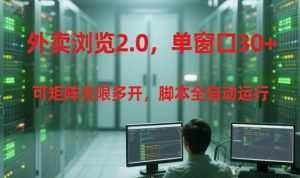 外卖浏览2.0,单窗口30+可矩阵无限多开,脚本全自动运行【揭秘】-第一资源库