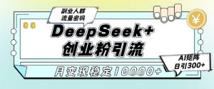 DeepSeek+创业粉精准引流,全新分享课4.0玩法,AI矩阵日引300+,多种变现方式,稳定月入1W-第一资源库