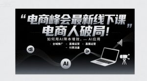 电商峰会最新线下课，电商人破局，如何用AI降本增效，AI应用-全域推广-直播运营-付费流量-第一资源库