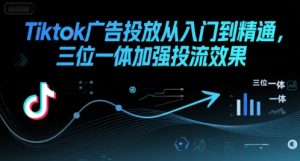 Tiktok广告投放从入门到精通,三位一体加强投流效果-第一资源库