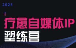 2025治愈自媒体IP训练营,专为疗愈领域从业者打造-第一资源库
