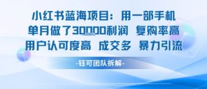 小红书蓝海项目，一部手机单月做了3W利润，小白也能月入过1W用户认可度高成交多-第一资源库