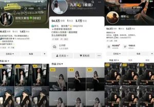 抖音图文文案赛道新玩法，快速养号起号，广告收益分成+橱窗带货+教学收徒等-第一资源库