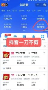 抖音短视频一刀不剪带货,不剪辑,不直播,每天发个视频,等着出单获取带货佣金-第一资源库