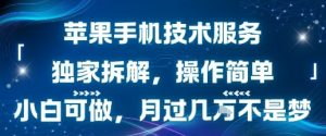 苹果手机技术服务,独家拆解,操作简单,小白可做,月过1W不是梦-第一资源库