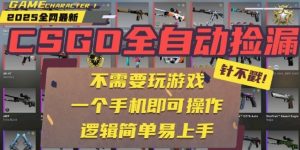 CSGO自动捡漏项目，最新独家玩法，一个手机即可操作，新手小白轻松月入1W+，操作简单易上手【揭秘】-第一资源库