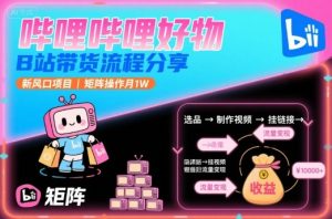 哔哩哔哩好物,B站带货流程分享,新风口项目,矩阵操作月1W-第一资源库