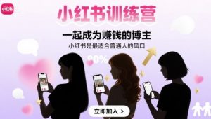 小红书训练营一起成为賺钱的博主,小红书是最适合普通人的风口-第一资源库