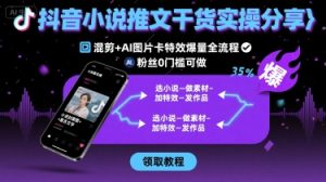 抖音小说推文干货实操分享，混剪+AI图片卡特效爆量全流程，0粉丝0门槛可做-第一资源库