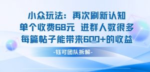 小众玩法再次刷新认知单个收费68米进群人数很多每篇帖子能带来6张的收益-第一资源库