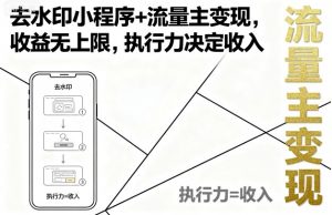 去水印小程序+流量主变现，收益无上限，执行力决定收入-第一资源库