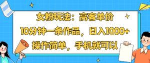 女粉玩法：高客单价，10分钟一条作品，日入1k+操作简单，手机就可以-第一资源库