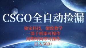 CSGO自动捡漏项目，最新独家玩法，一个手机即可操作，新手小白轻松月入1W+，操作简单易上手【揭秘】-第一资源库