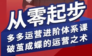 拼多多运营进阶系统课,从零起步,多多运营进阶体系课,破茧成蝶的运营之术(更新9月)-第一资源库