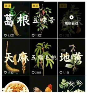 抖音中草药赛道，用AI做中草药故事视频，45条作品涨粉13W，橱窗带货猛猛出单-第一资源库