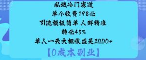 私域冷门赛道:单个收费198米引流模板简单人群精准转化45%单人一天大概收益是1k+-第一资源库